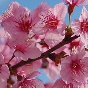 Meet your Posher, Claudette